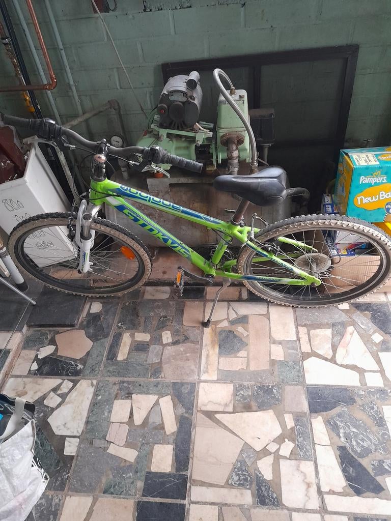 de fiets van onze zoon 8 a 10 jaar zijnen eerste geweest, Fietsen en Brommers, Ophalen, Gebruikt, Vering, Stokvis