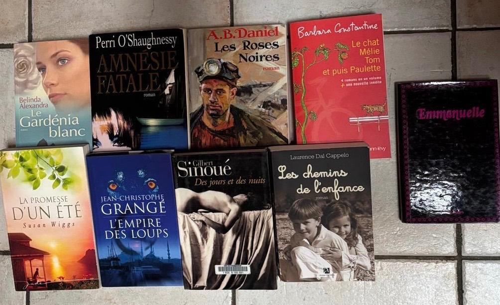 Plusieurs romans à vendre, Livres, Romans, Comme neuf, Europe autre, Enlèvement ou Envoi