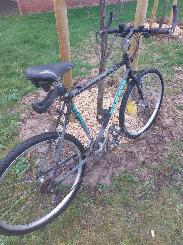 Mountainbike heren, Ophalen, Gebruikt, Meer dan 20 versnellingen, Overige merken