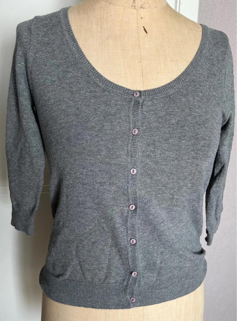 Grijze gilet van Zara, Envoi