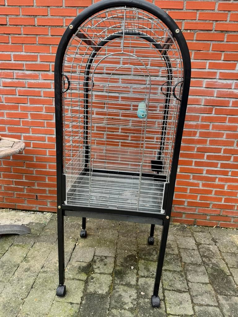 Papegaaienkooi, Dieren en Toebehoren, Ophalen, Zo goed als nieuw, Metaal, Vogelkooi