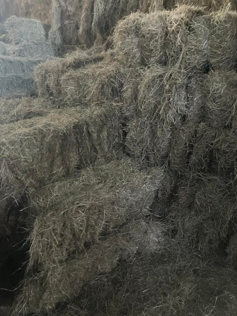 Foin, Animaux & Accessoires, Nourriture pour Animaux, Enlèvement