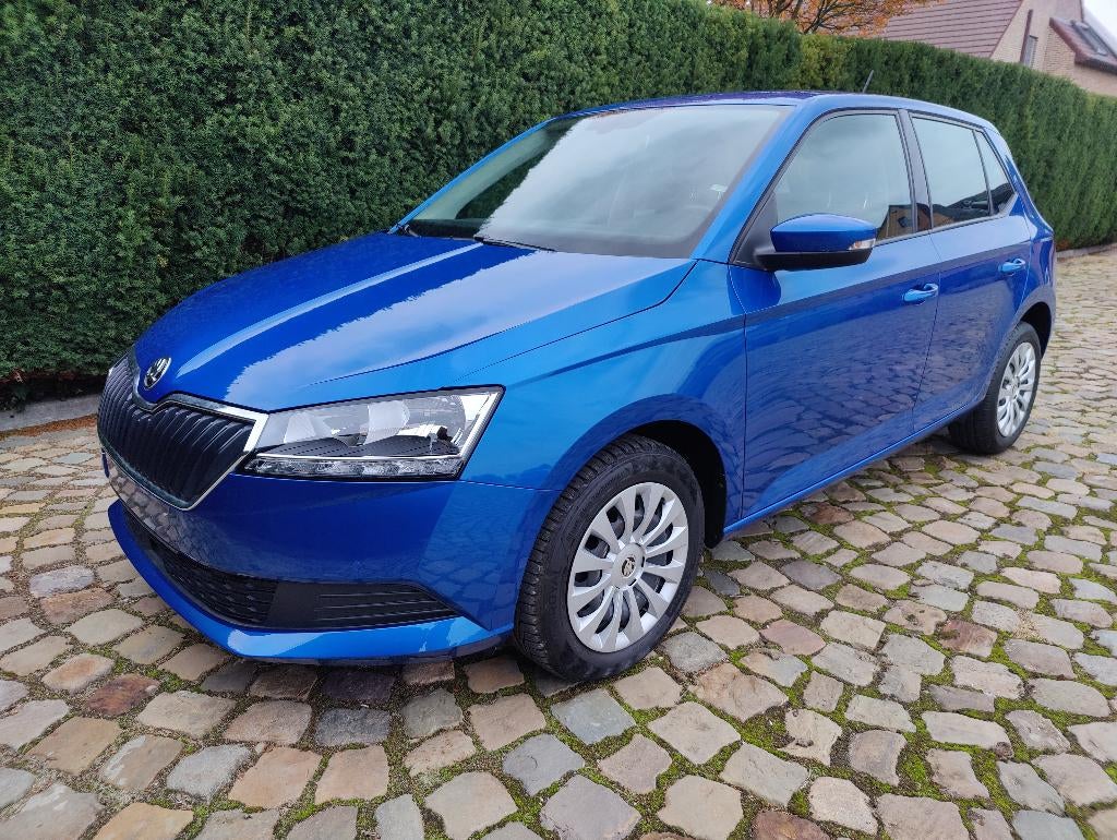 Skoda Fabia 1.0 TSI Ambition, Auto's, Voorwielaandrijving, Stof, Bedrijf, 5 deurs