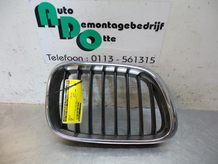 Calandre d'un BMW X5, -, 3 mois de garantie, Utilisé, -