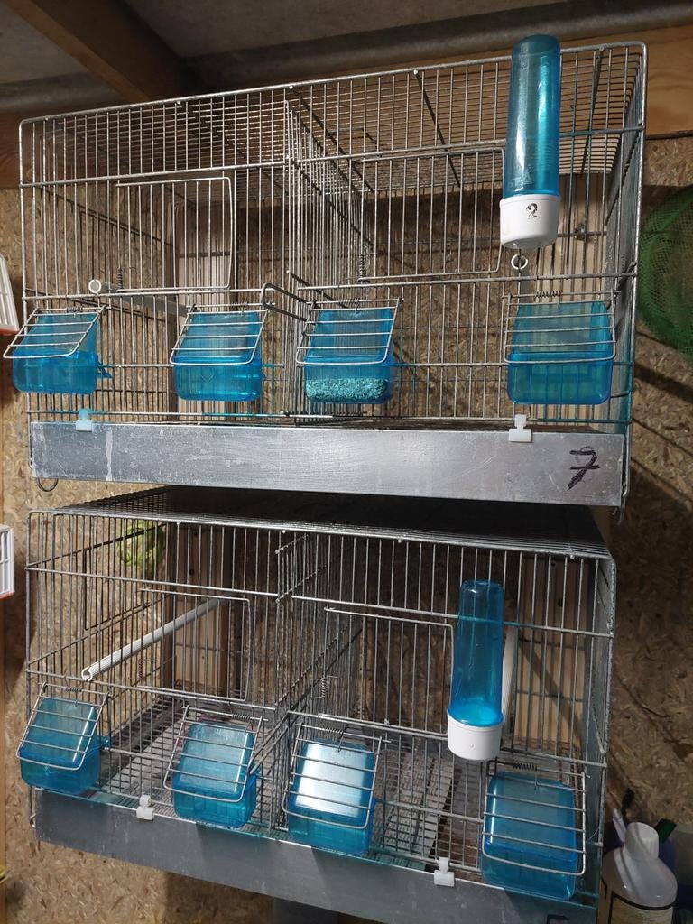 Cages d'élevage, Enlèvement