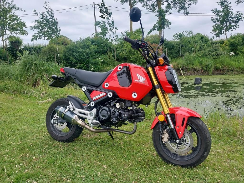 Honda MSX 125 2600 km, Éclairage LED, 1 cylindre, 125 cm³, Jusqu'à 11 kW