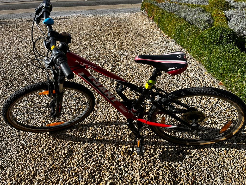 Mountainbike kids GIANT, Fietsen en Brommers, Ophalen, Staal, V-brakes, 16 tot 20 inch