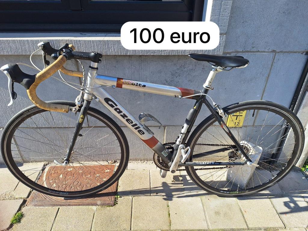 Vélos hommes, Fietsen en Brommers, Ophalen, Gebruikt