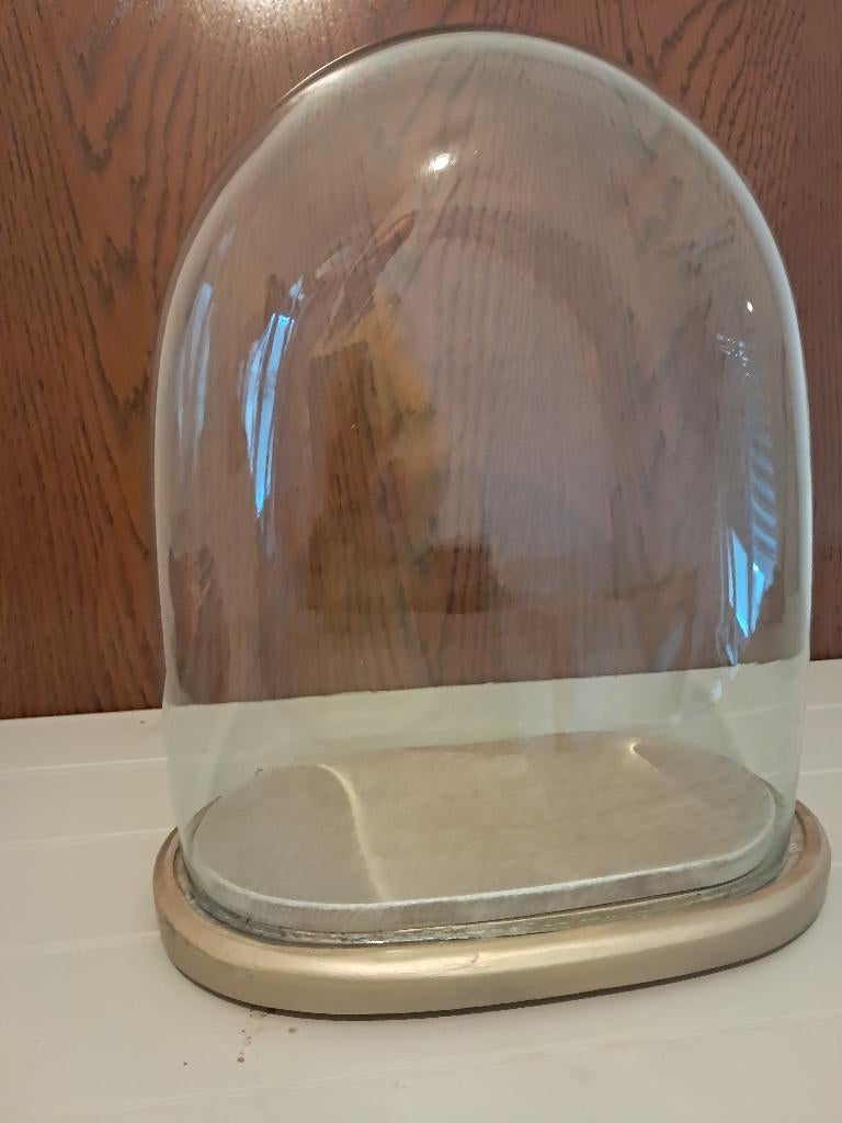 antieke globe, Antiquités & Art, Enlèvement