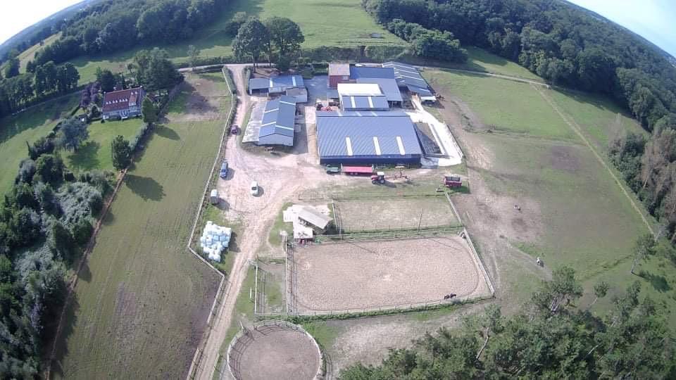 Stalling en weidegang, Dieren en Toebehoren, Paarden