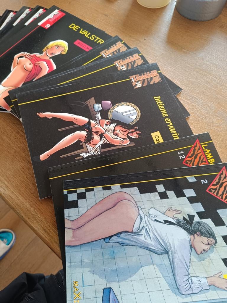 Erotisch getinte strips, Boeken, Stripverhalen, Ophalen of Verzenden