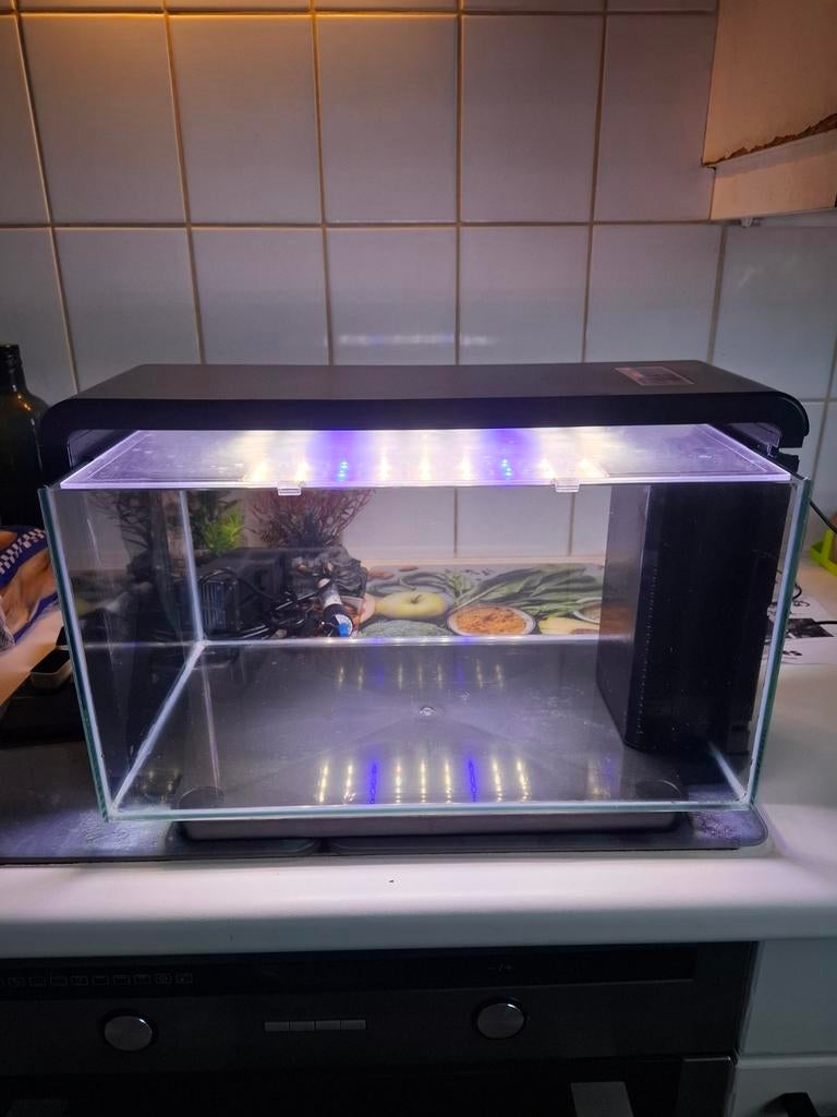 Alles samen, Ophalen, Zo goed als nieuw