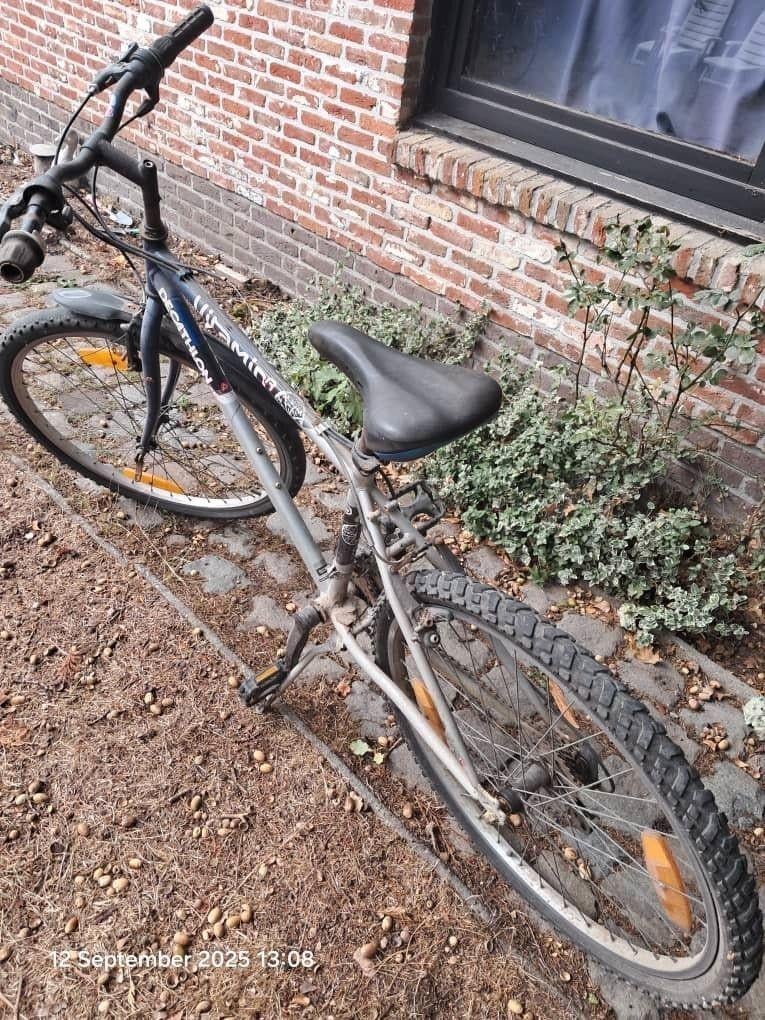 Fiets (Kleine maat), Fietsen en Brommers, Fietsen | Vouwfietsen, Ophalen