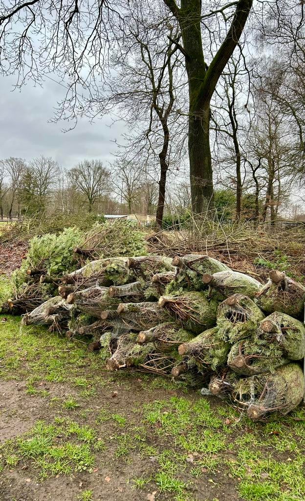 Gratis kerstbomen, Ophalen, Overige soorten