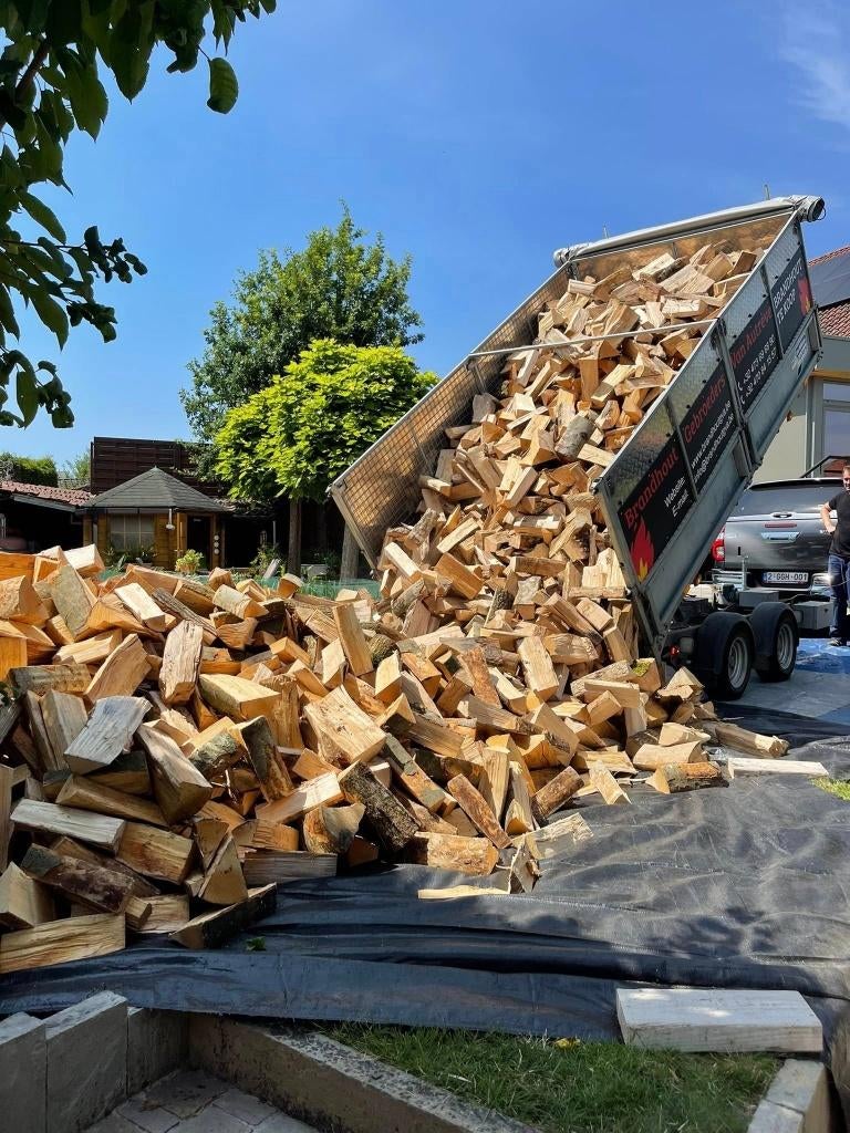 Brandhout en pellets aan huis geleverd, 6 m³ of meer, Ophalen, Beukenhout, Blokken