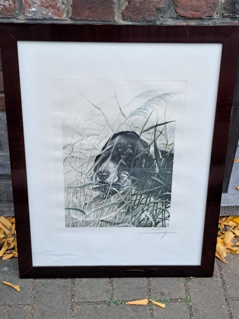 Gravure signe leon danchin, Ophalen of Verzenden