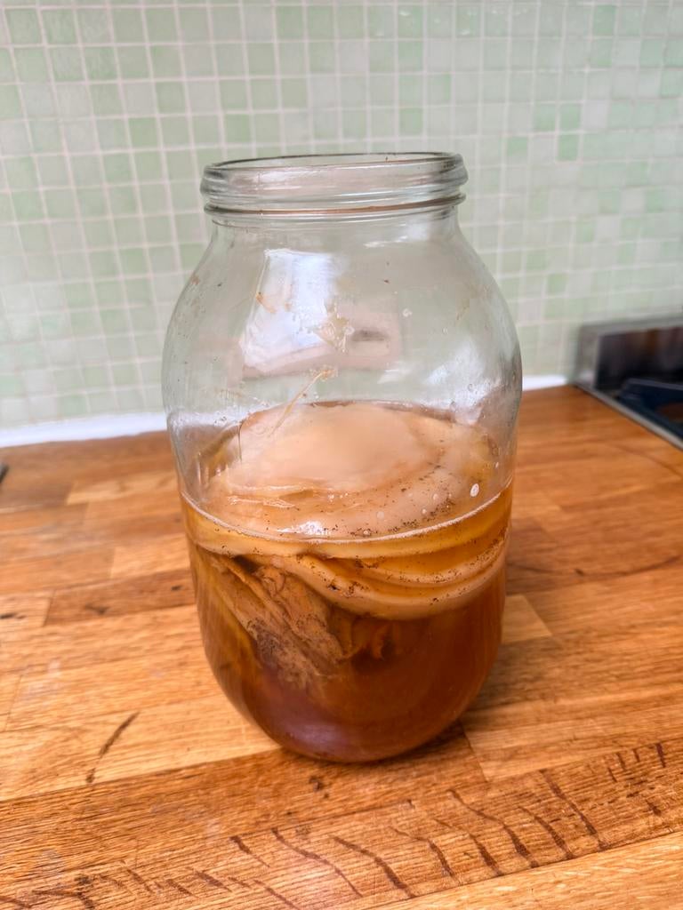 Scoby For your kombucha, natural probiotics €5 each, Diversen, Levensmiddelen, Ophalen