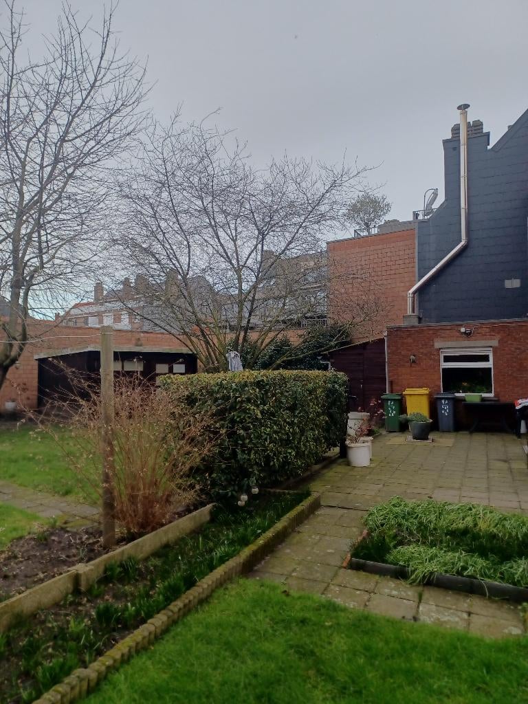 grande maison à rénover, Immo, Maisons à vendre, Turnhout, Arendonk, 500 à 1000 m², Ventes sans courtier