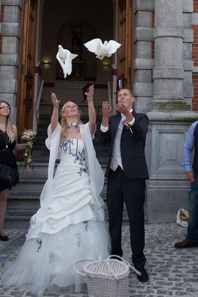 🕊 Lâcher de colombe - mariage, cérémonie 🕊, Animaux & Accessoires, Enlèvement, Neuf