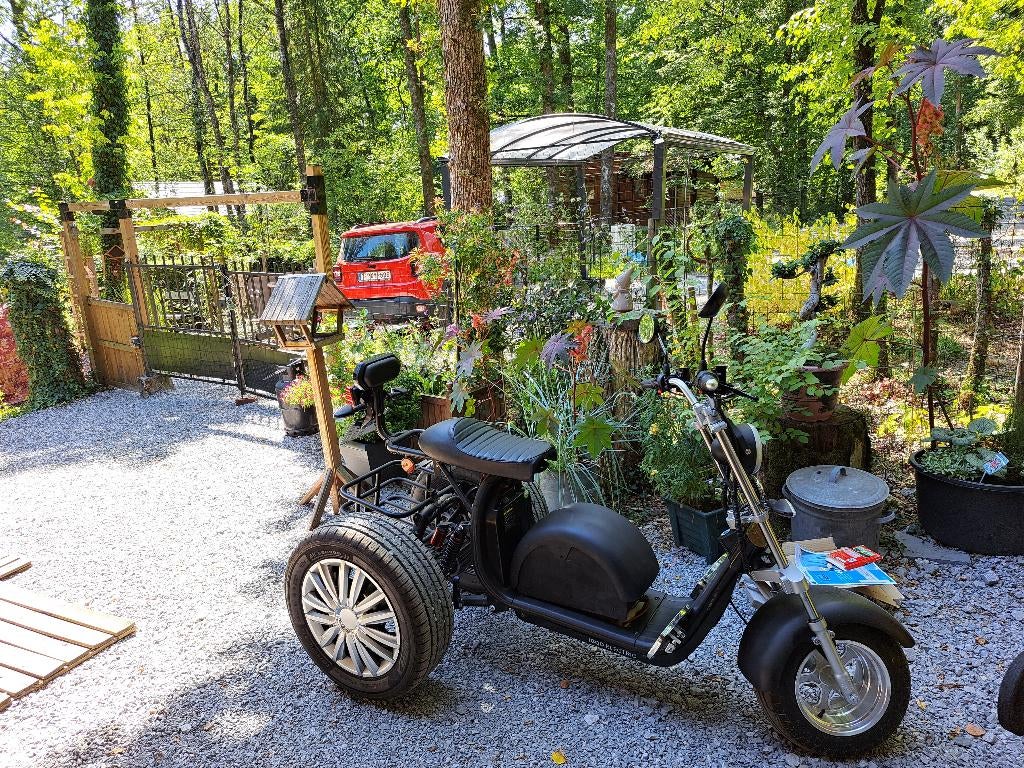 ELEKTRISCHE DRIEWIELER, Fietsen en Brommers, Ophalen, Gebruikt, Alibaba