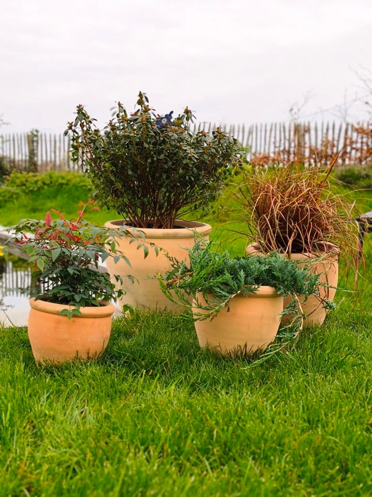 Nouveau set de pots de fleurs en terre cuite — 4 pièces, Enlèvement, Terracotta, Balcon