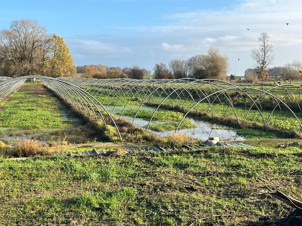 Bogen in de tunnelkas, Tuin en Terras, Kassen, Kweekkas, Ophalen