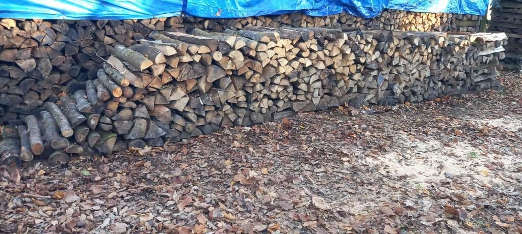 Bois de chauffage, Enlèvement, Hêtre