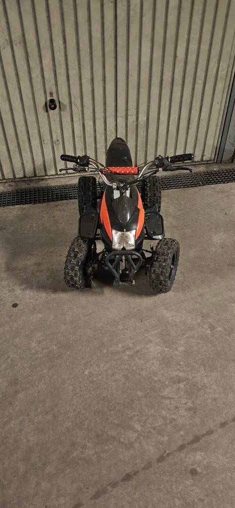 Poket quad 50cc