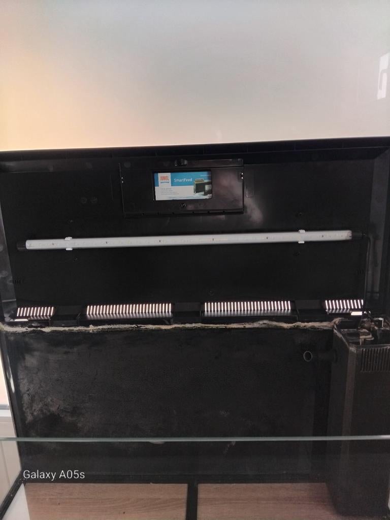 Aquarium juwel primo met kast en toebehoren