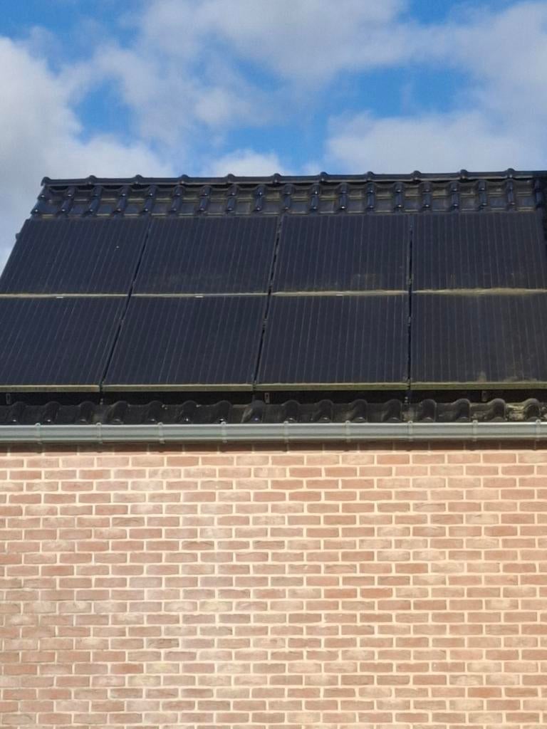 29 Panneaux photovoltaiques 260 Wc full Black, Doe-het-zelf en Bouw, Ophalen