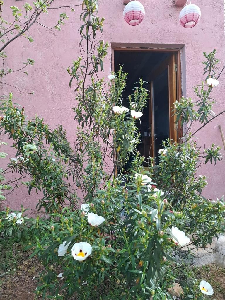 Grond met gebouw in Portugal, Immo, Portugal, Landelijk