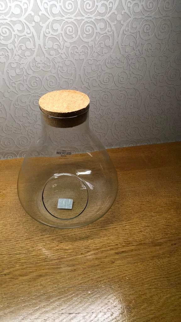 Glazen planten bokaal, Ophalen of Verzenden, Nieuw