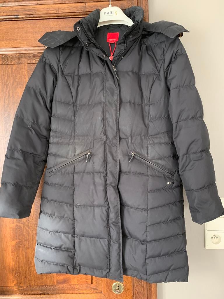 Donsjas Esprit 38 zwart met kap, Kleding | Dames, Jassen | Winter, Ophalen of Verzenden