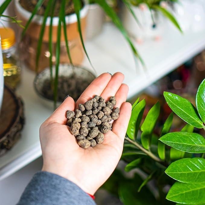 galets d'argile | 1L | LIVRAISON GRATUITE, Jardin & Terrasse, Envoi, Autres types