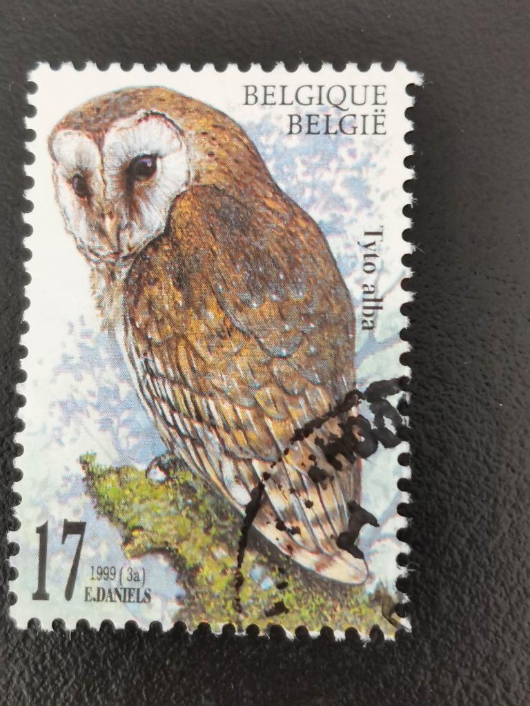 Belgie 1999 - vogels - uilen - Kerkuil, Ophalen of Verzenden, Gestempeld