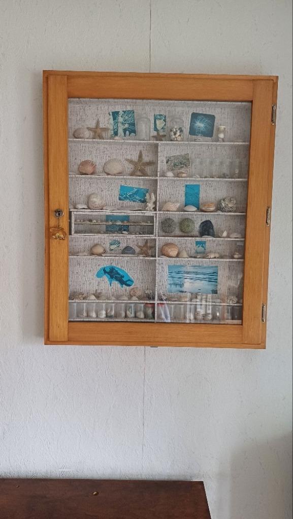 vitrine, Moins de 100 cm, Enlèvement, Utilisé, 50 à 100 cm