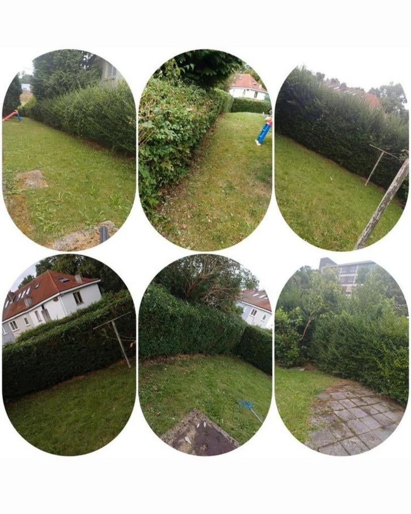 Jardinier a votre service, Enlèvement