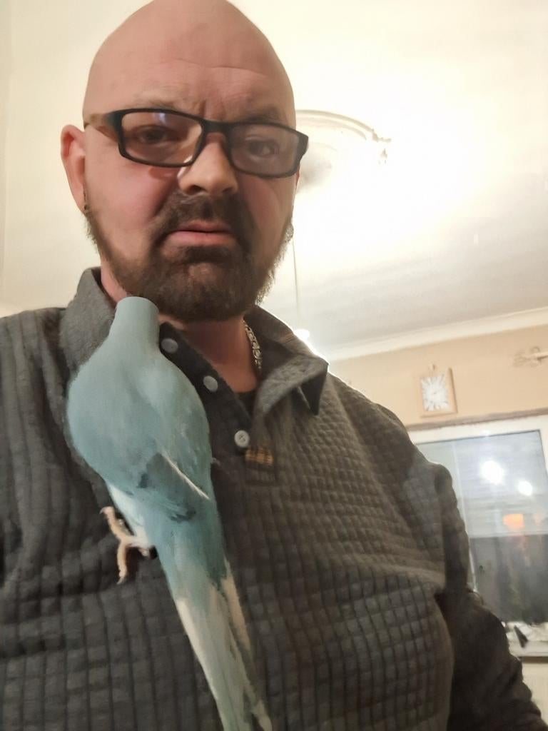 Super tamme halsband parkiet, Immo, Op zoek naar een appartement