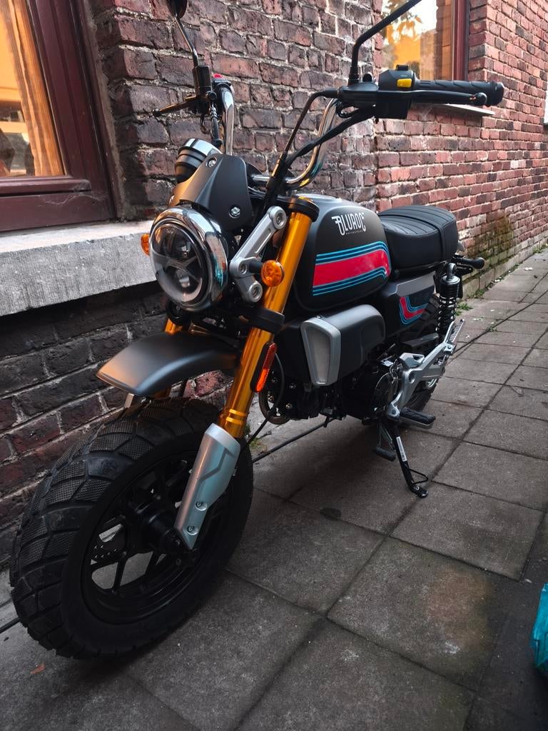 Bluroc x-bongo, Vélos & Vélomoteurs, Cyclomoteurs | Marques Autre, Comme neuf, Enlèvement, Classe A (25 km/h)