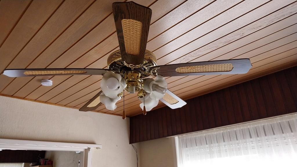 Hanglamp met ventilator, Elektronische apparatuur, Ventilatoren, Ophalen