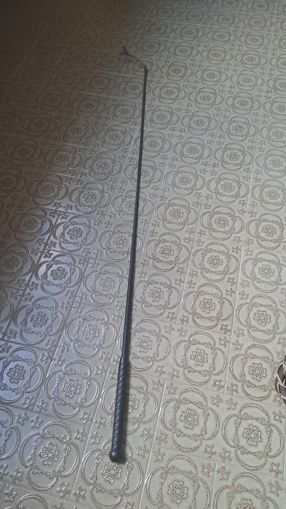 Zweep, Dieren en Toebehoren, Ophalen of Verzenden, Zo goed als nieuw