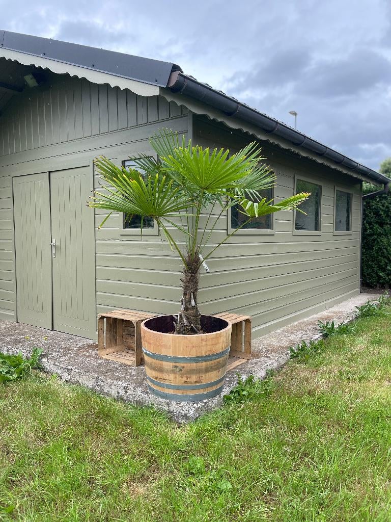 Authentieke & Gebleekte Wijnvaten - Regenton - Decoratie, Tuin en Terras, Regentonnen, 150 liter of meer, Ophalen, Gebruikt, Hout