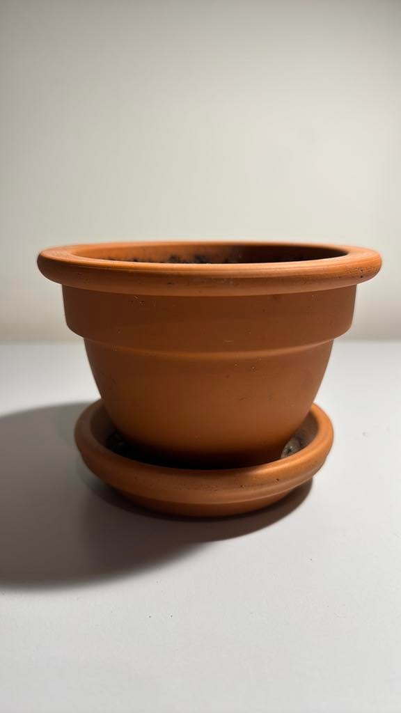 Terracotta bloempot met schaal, Tuin en Terras, Bloempotten, Ophalen, Zo goed als nieuw, Terracotta