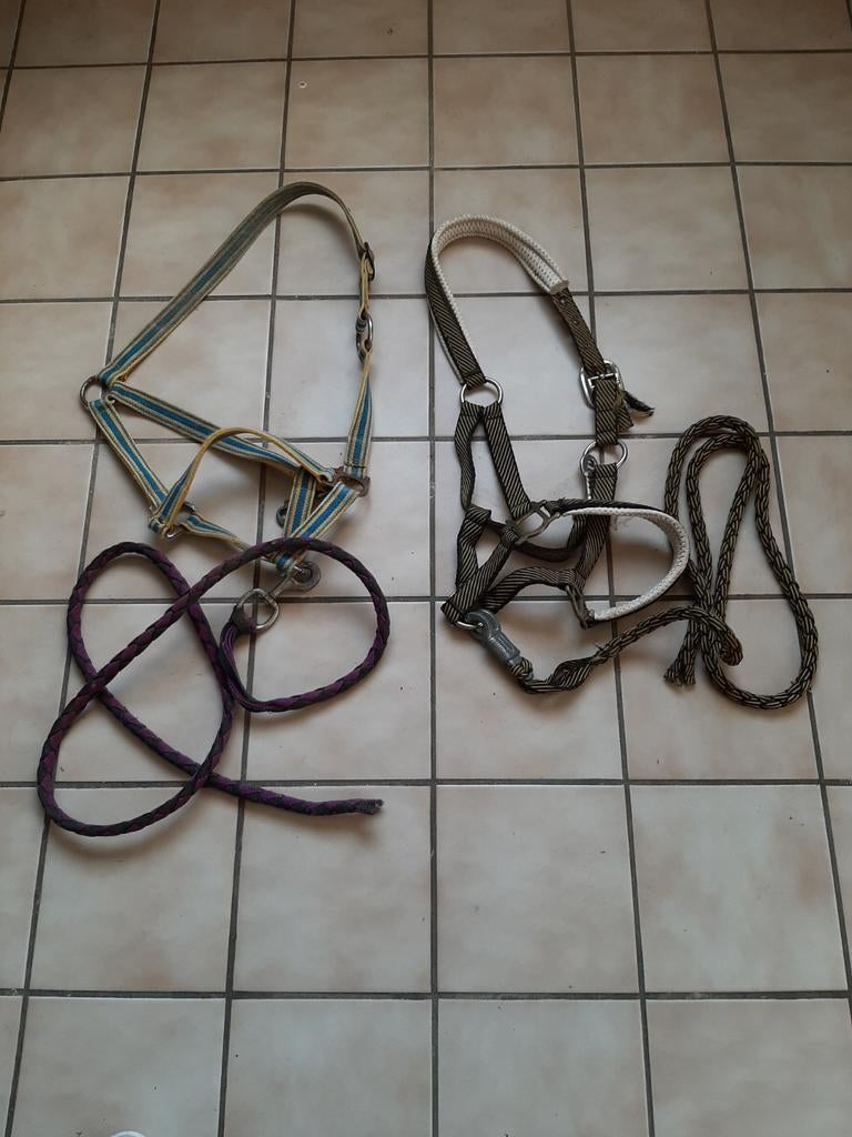 Halster, Ophalen of Verzenden, Zo goed als nieuw