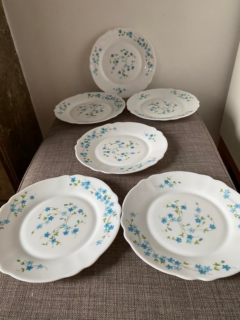 Set van zes Arcopal dessertborden met Myosotis decor, Antiek en Kunst, Ophalen of Verzenden
