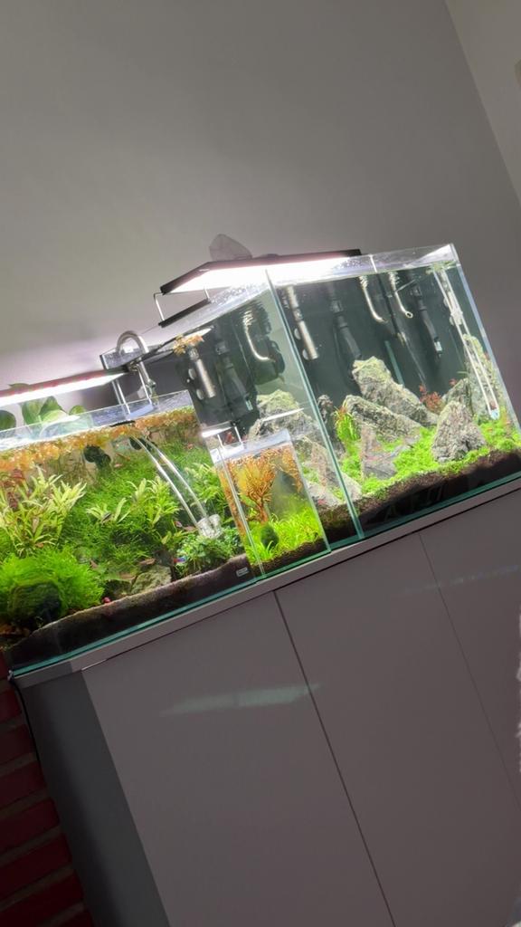 Entretien aquarium - eau osmose osmoseur, Animaux & Accessoires, Enlèvement