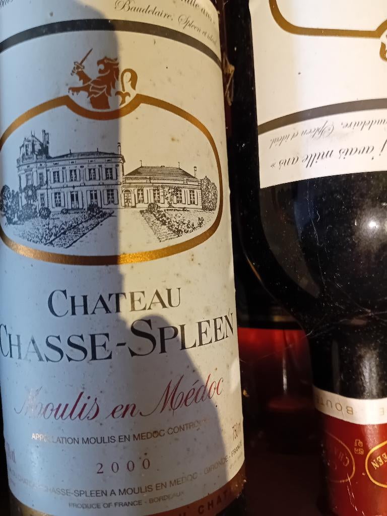 Château Chasse-Spleen 2000 Moulis et Médoc, Collections, Vins, Neuf, Enlèvement ou Envoi, Vin rouge, France