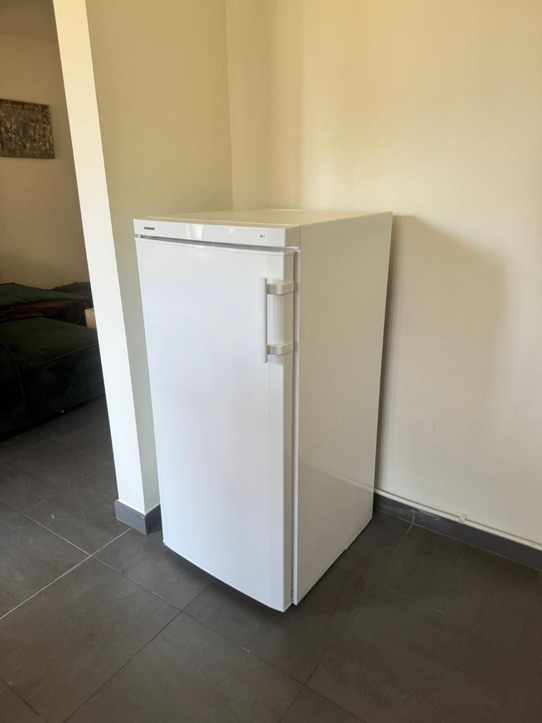 Liebherr SN-ST 7 6006 4 221 l, Electroménager, Congélateurs, Enlèvement