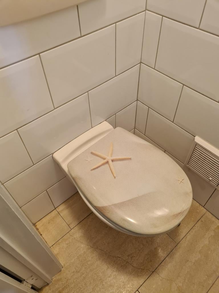 siège de toilette, Enlèvement