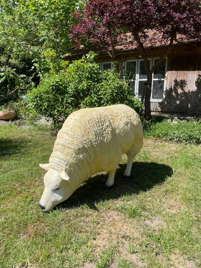 Beeld Texel schaap, gazon, tuin, boerderij 100cm, Ophalen, Nieuw, Kunststof, Dierenbeeld